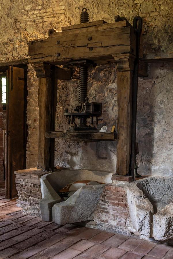 Frantoio Del Moscatello Bed & Breakfast Camaiore Exterior photo
