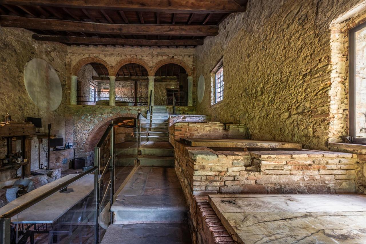 Frantoio Del Moscatello Bed & Breakfast Camaiore Exterior photo